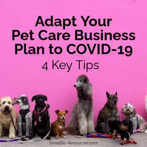 Pet Business Tips